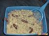 Click image for larger version. 

Name:	KITTY LITTER CAKE PICTURE.jpg 
Views:	124 
Size:	18.7 KB 
ID:	1986
